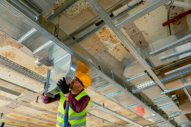 Best HVAC tune-up services  in Lake Bluff, IL